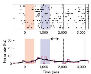 Wornell releases new paper: Neural population partitioning and a concurrent brain-machine interface for sequential motor function