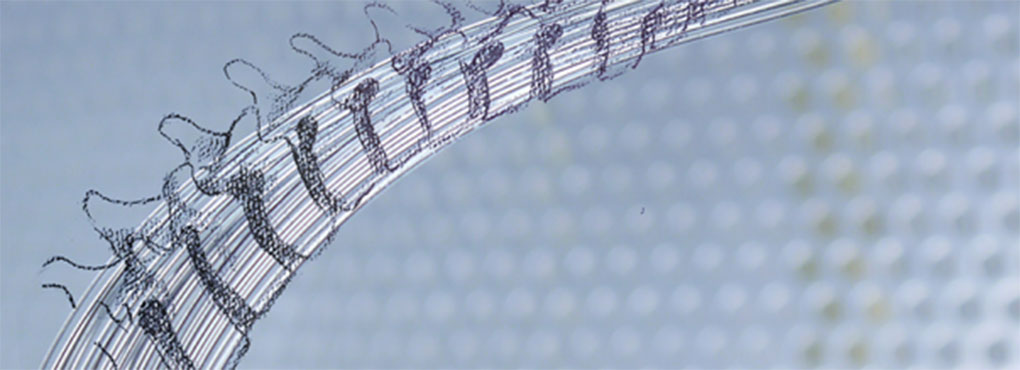 Striking the cord: Optical control of motor functions