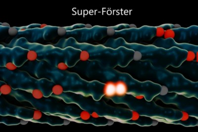 Rendering of a virus used in the MIT experiments. The light-collecting centers, called chromophores, are in red, and chromophores that just absorbed a photon of light are glowing white. After the virus is modified to adjust the spacing between the chromophores, energy can jump from one set of chromophores to the next faster and more efficiently. Courtesy of the researchers and Lauren Aleza Kaye