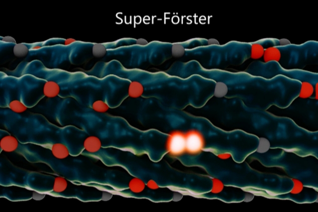 Quantum physics meets genetic engineering