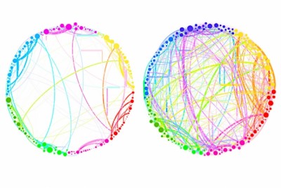 This diagram demonstrates the simplified results that can be obtained by using quantum analysis on enormous, complex sets of data. Shown here are the connections between different regions of the brain in a control subject (left) and a subject under the influence of the psychedelic compound psilocybin (right). This demonstrates a dramatic increase in connectivity, which explains some of the drug’s effects (such as “hearing” colors or “seeing” smells). Such an analysis, involving billions of brain cells, would be too complex for conventional techniques, but could be handled easily by the new quantum approach, the researchers say. Courtesy of the researchers