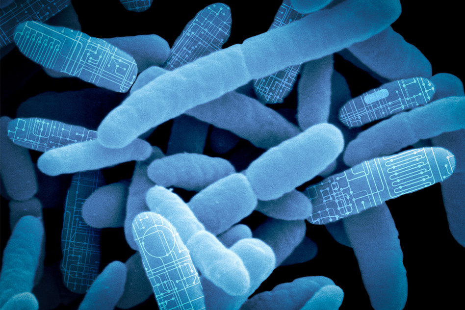 Reprogramming gut bacteria as “living therapeutics”