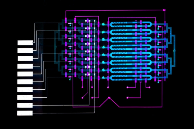 Microfluidics device helps diagnose sepsis in minutes