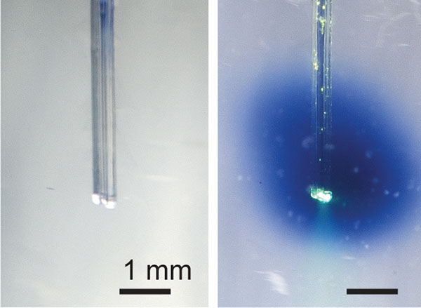 Controlling drug activity with light